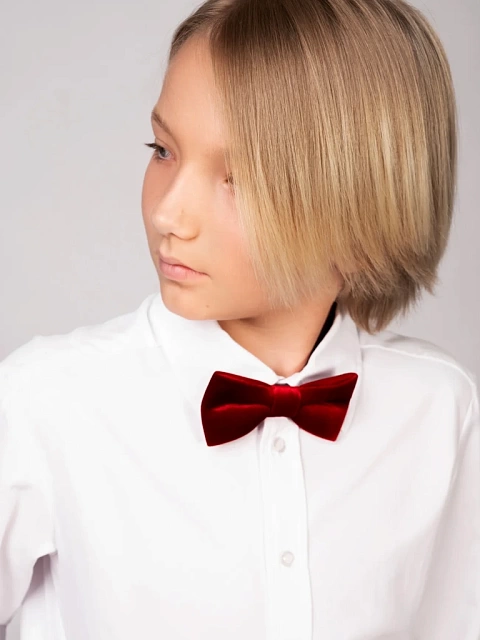 Галстук-бабочка из бархата